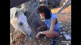 Sexe en extérieur vintage à la campagne avec une brune passionnée