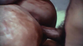 Vintage Erotic Video Featuring Eric Edwards And Nostalgic Themes