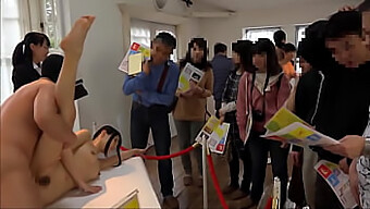 Duitse En Japanse Tieners Ondernemen Seksuele Activiteiten Op Een Kunsttentoonstelling