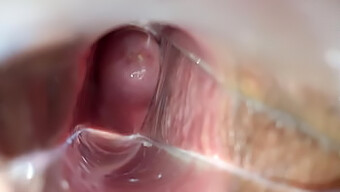 Orgasmo Especular Lleva A Un Intenso Clímax Vaginal En Video Casero