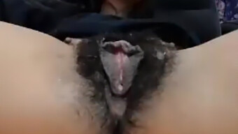 Amateur Wet Hairy Mature Pussy